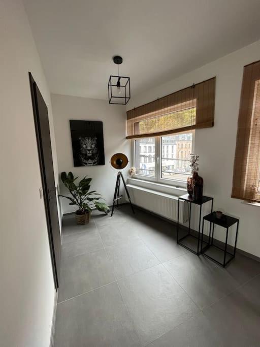 Duplex Spacieux Centre-ville De Apartment Spa