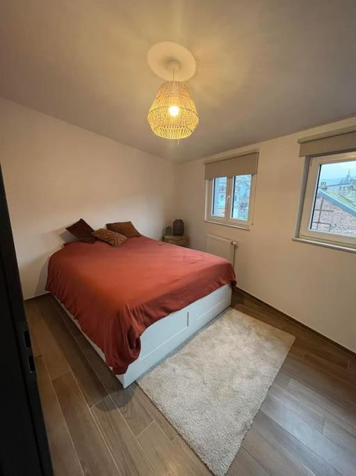 Apartment Duplex Spacieux Centre-ville De *
